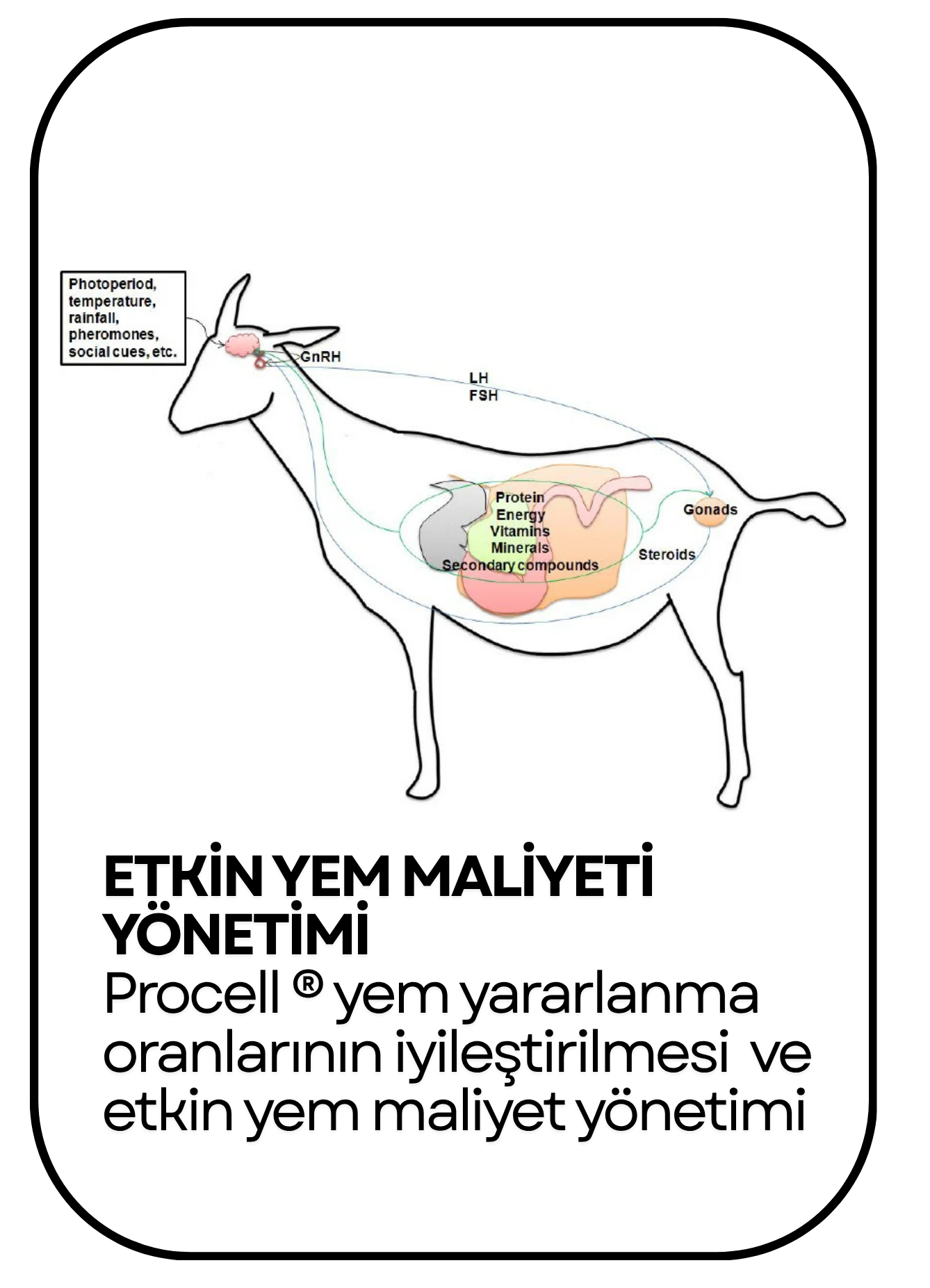 PowerClip Uygulanmış Dikdörtgen (1)