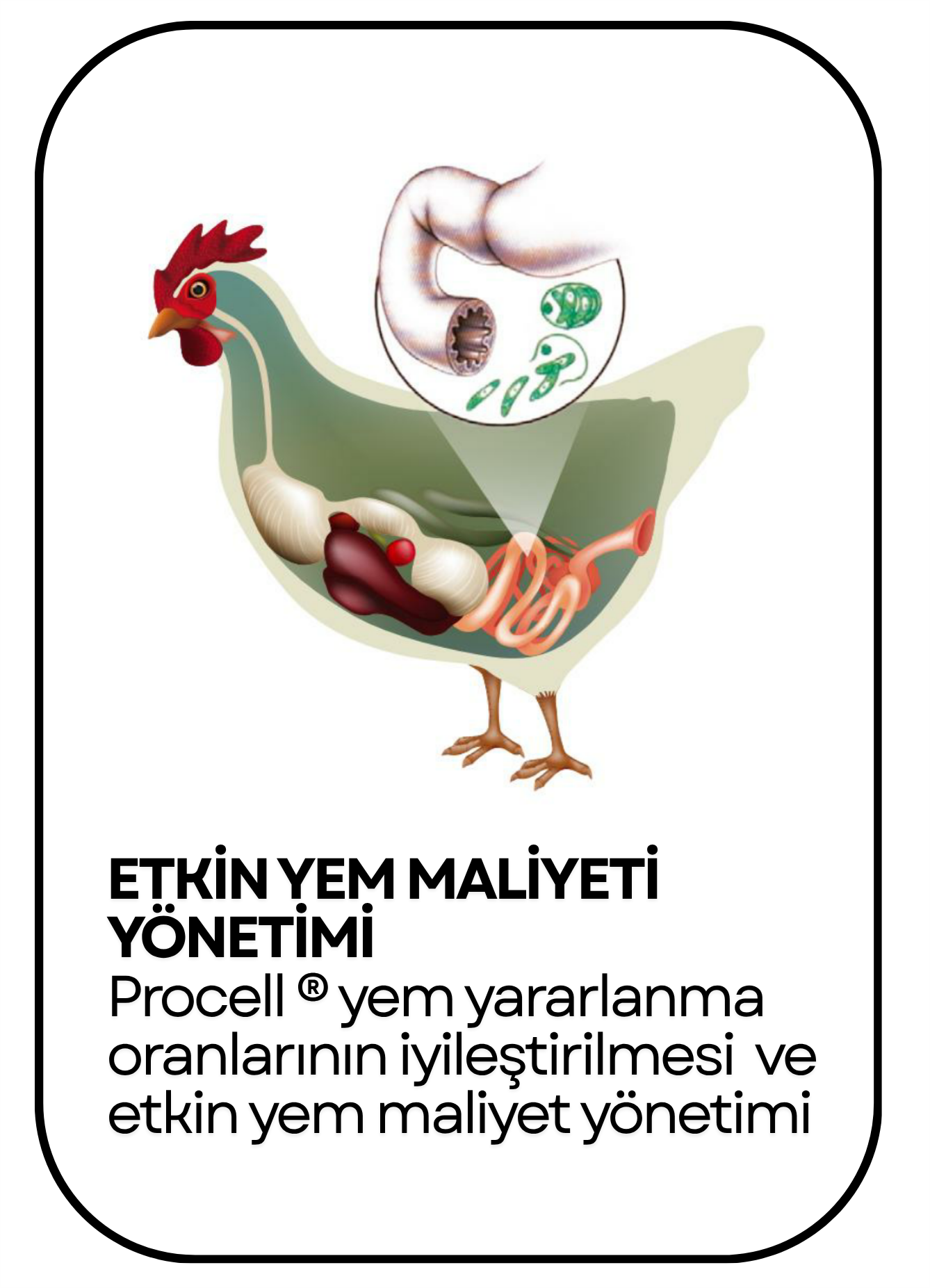 PowerClip Uygulanmış Dikdörtgen (1)