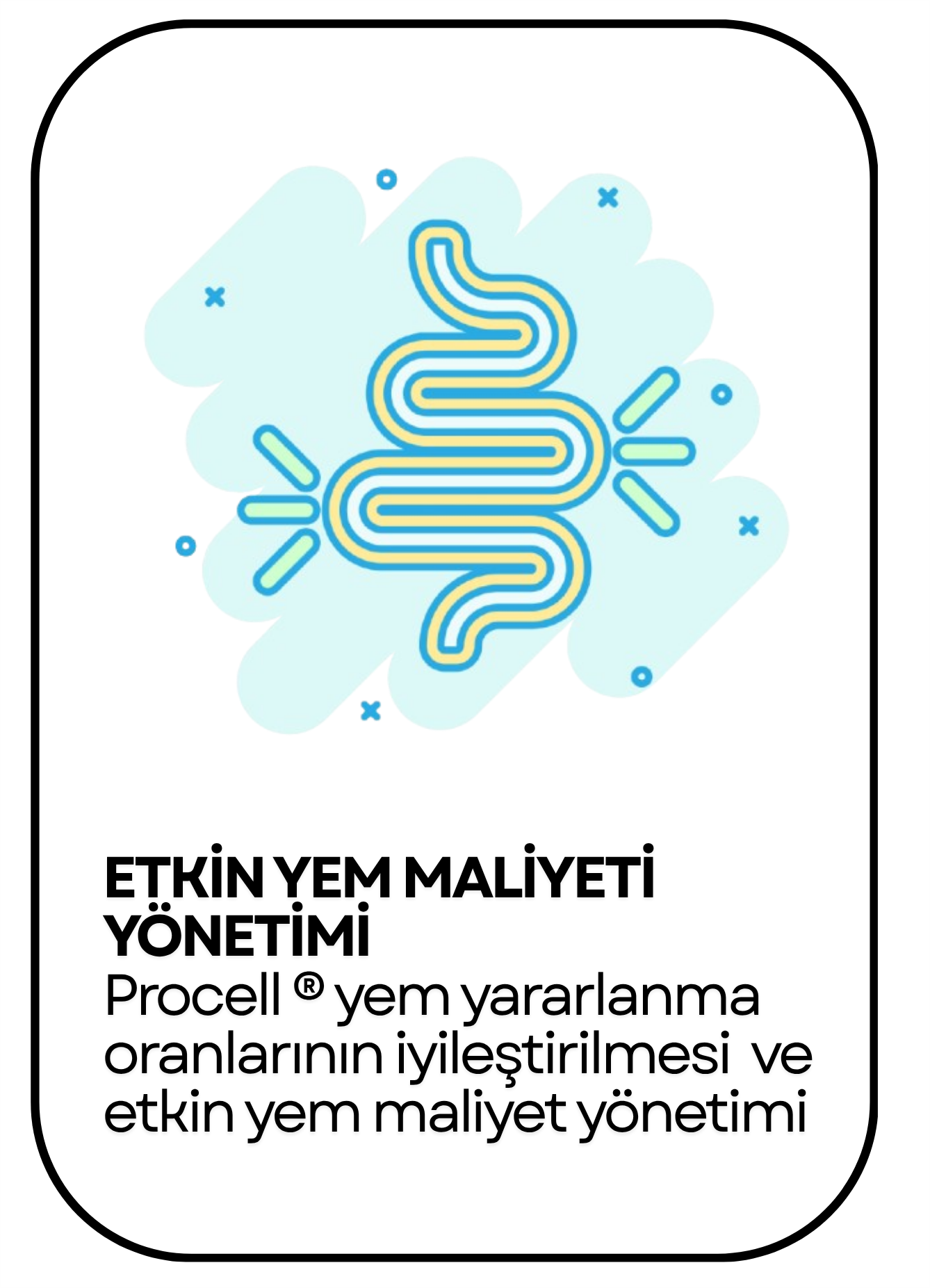 PowerClip Uygulanmış Dikdörtgen (10)