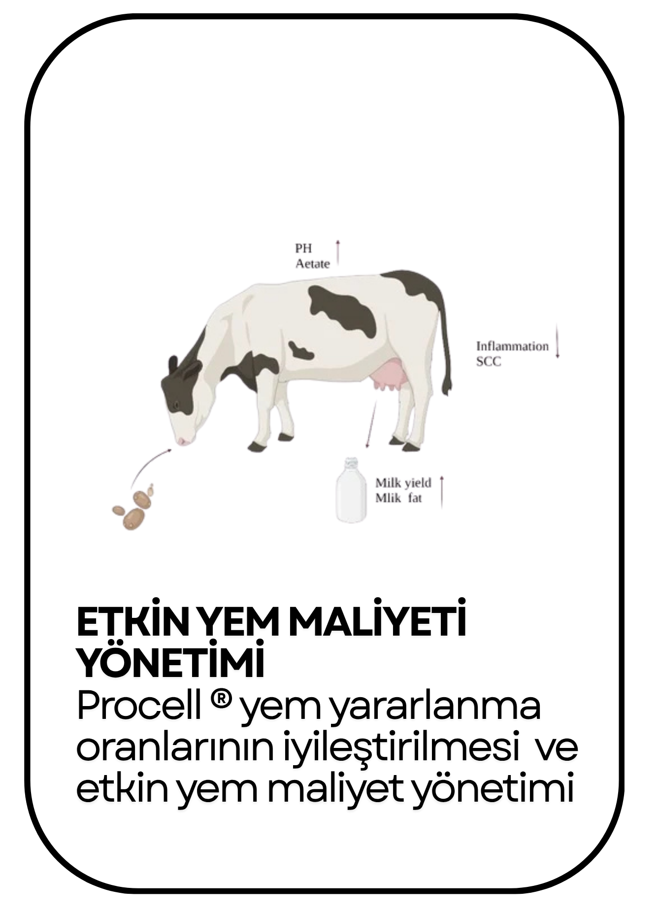 PowerClip Uygulanmış Dikdörtgen (10)