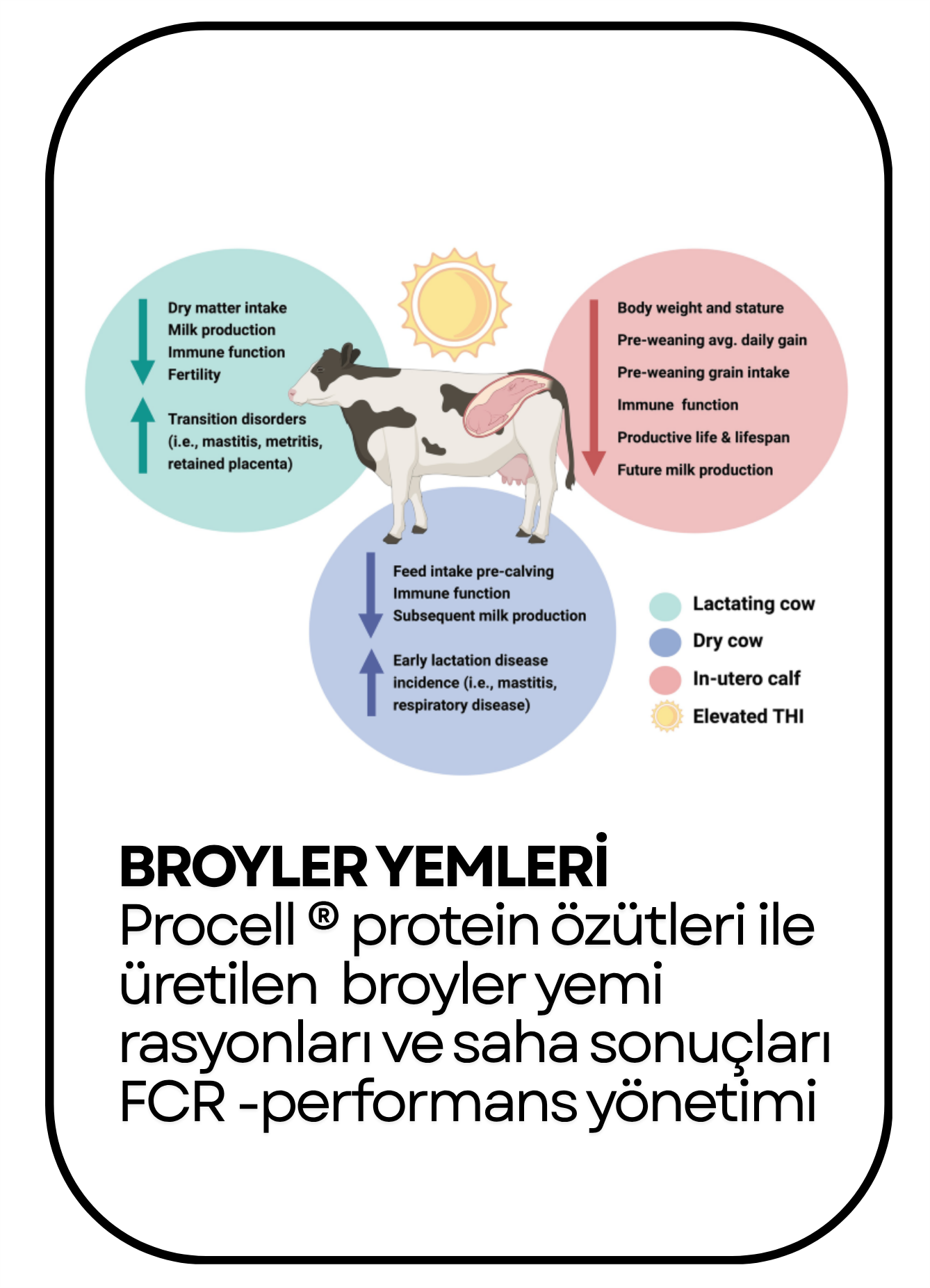PowerClip Uygulanmış Dikdörtgen (12)