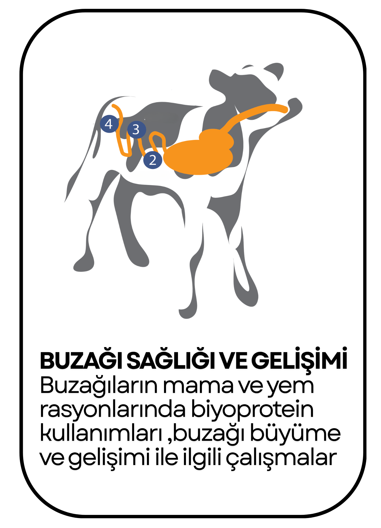 PowerClip Uygulanmış Dikdörtgen (14)