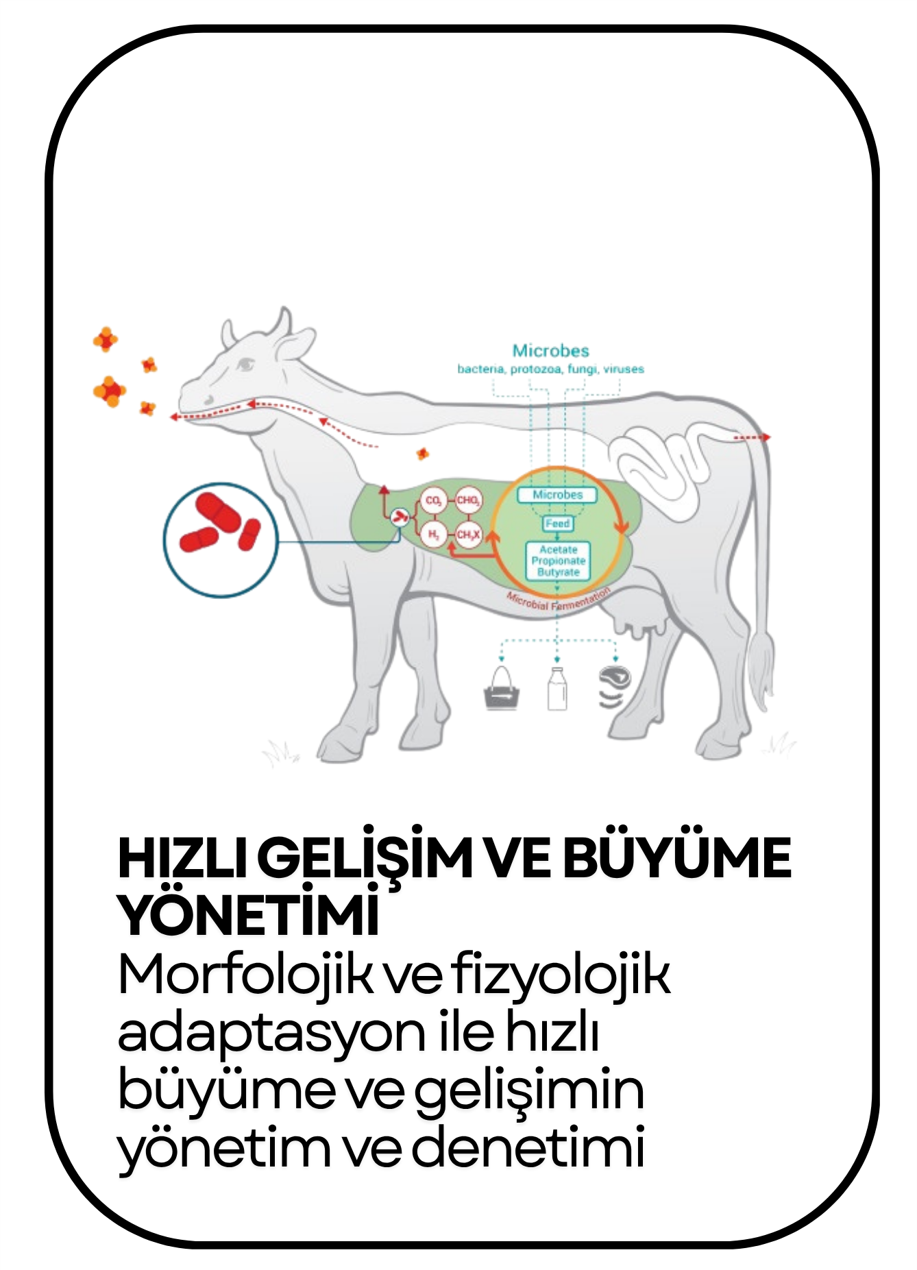 PowerClip Uygulanmış Dikdörtgen (15)