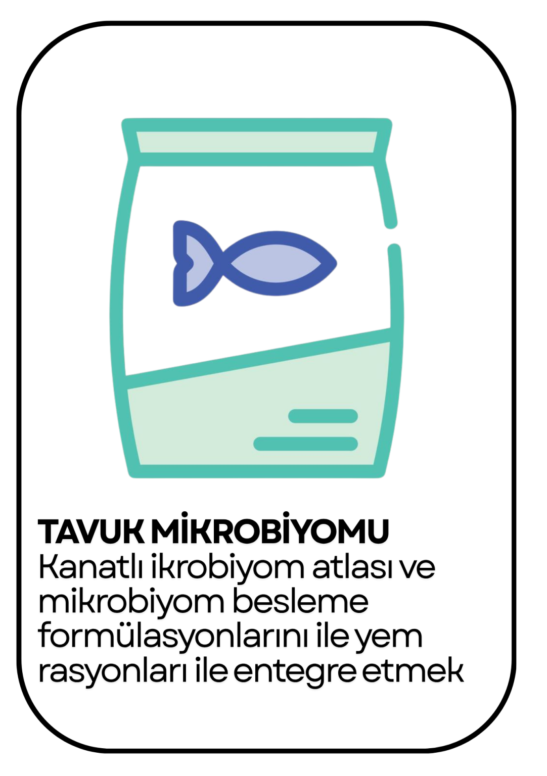 PowerClip Uygulanmış Dikdörtgen (2)