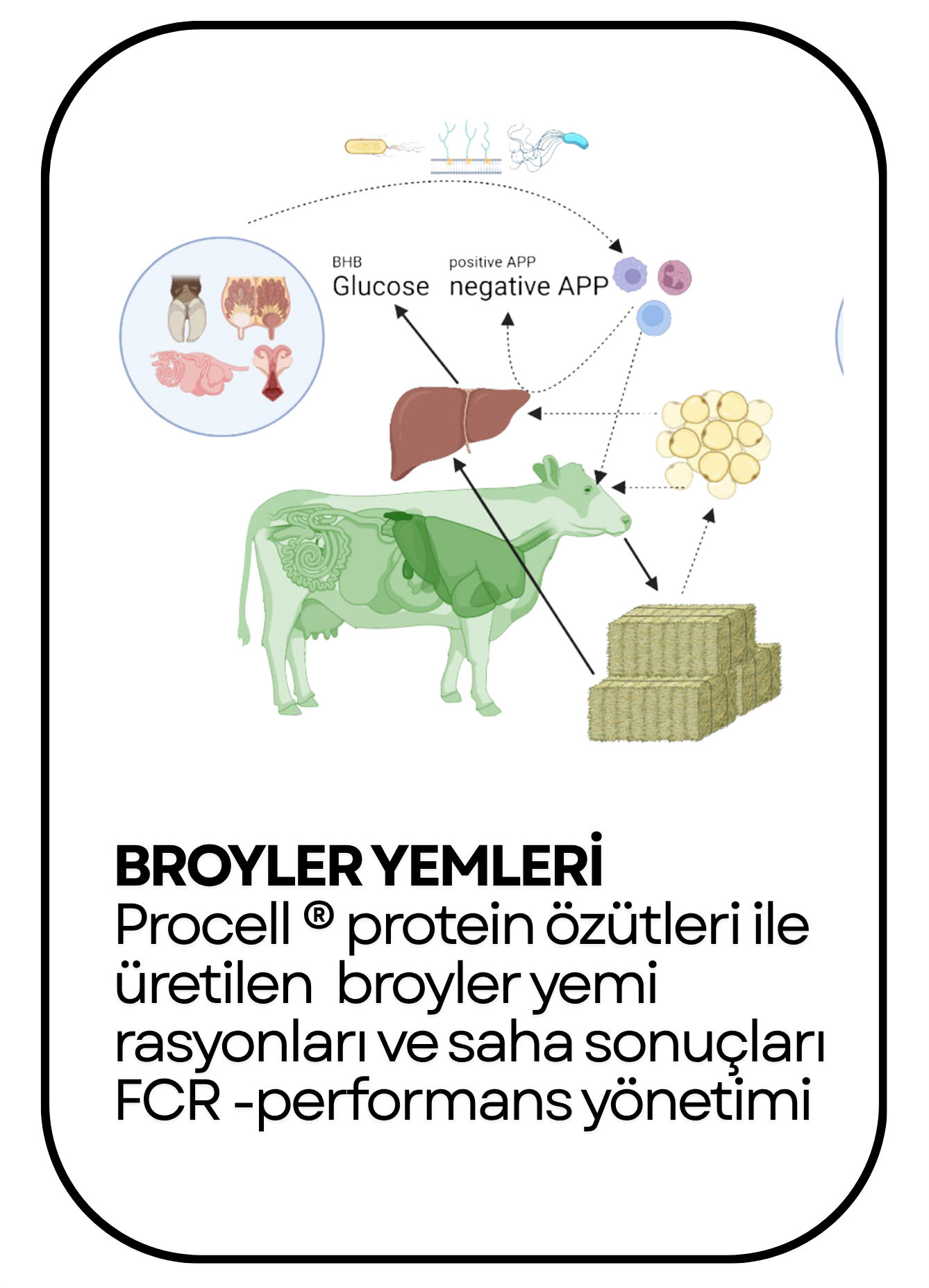 PowerClip Uygulanmış Dikdörtgen (3)