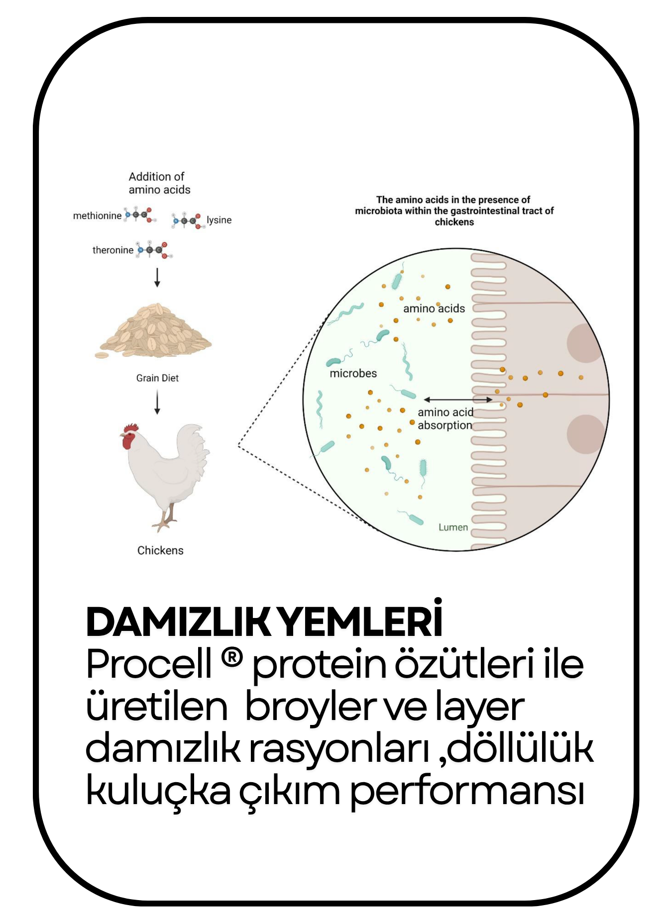 PowerClip Uygulanmış Dikdörtgen (3)