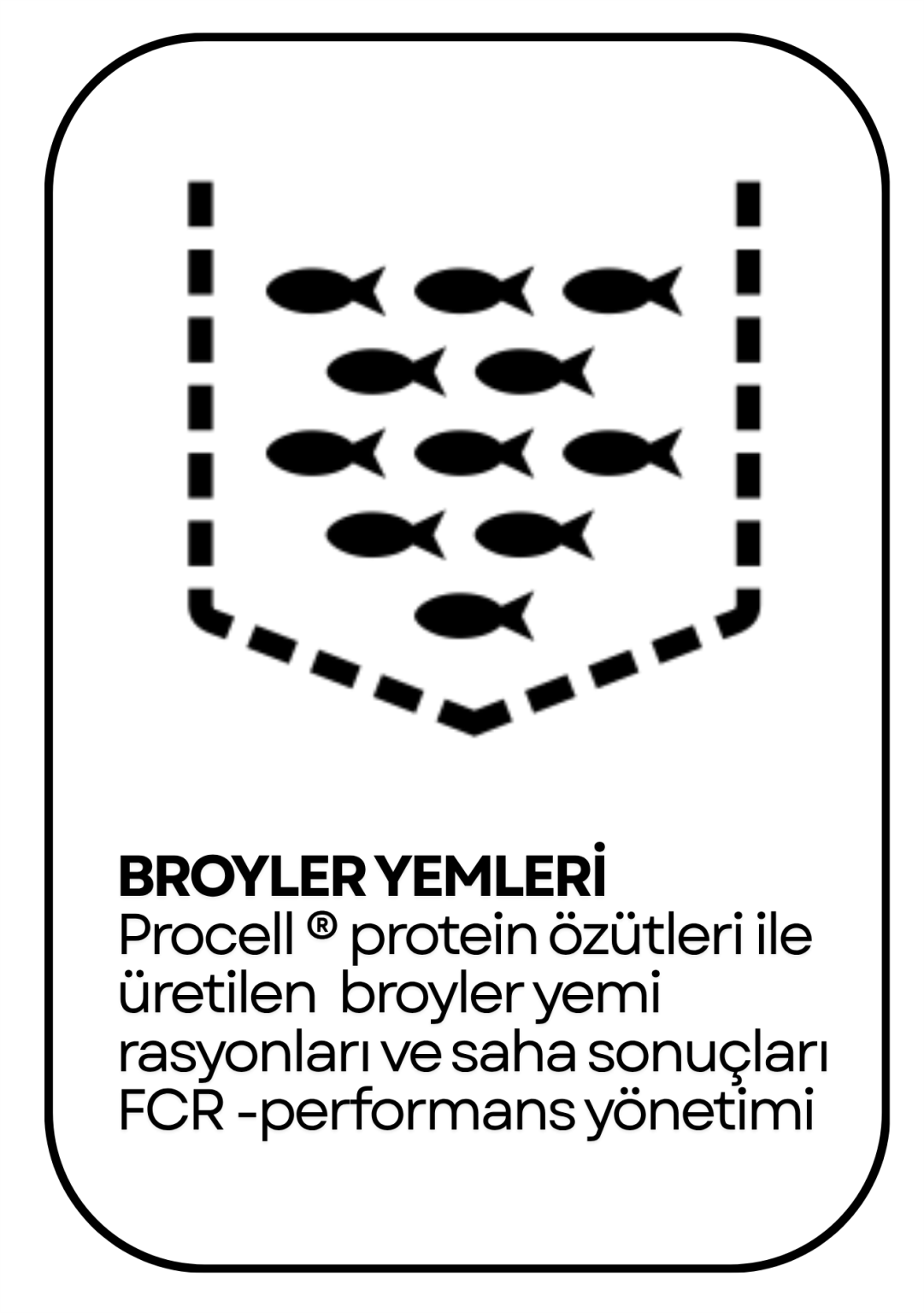 PowerClip Uygulanmış Dikdörtgen (3)