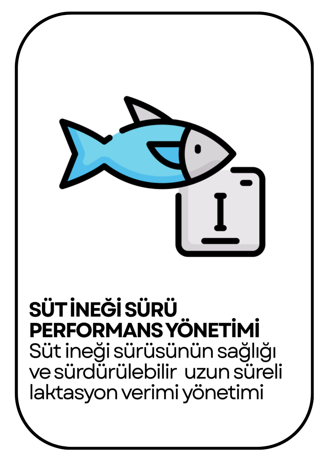 PowerClip Uygulanmış Dikdörtgen (4)