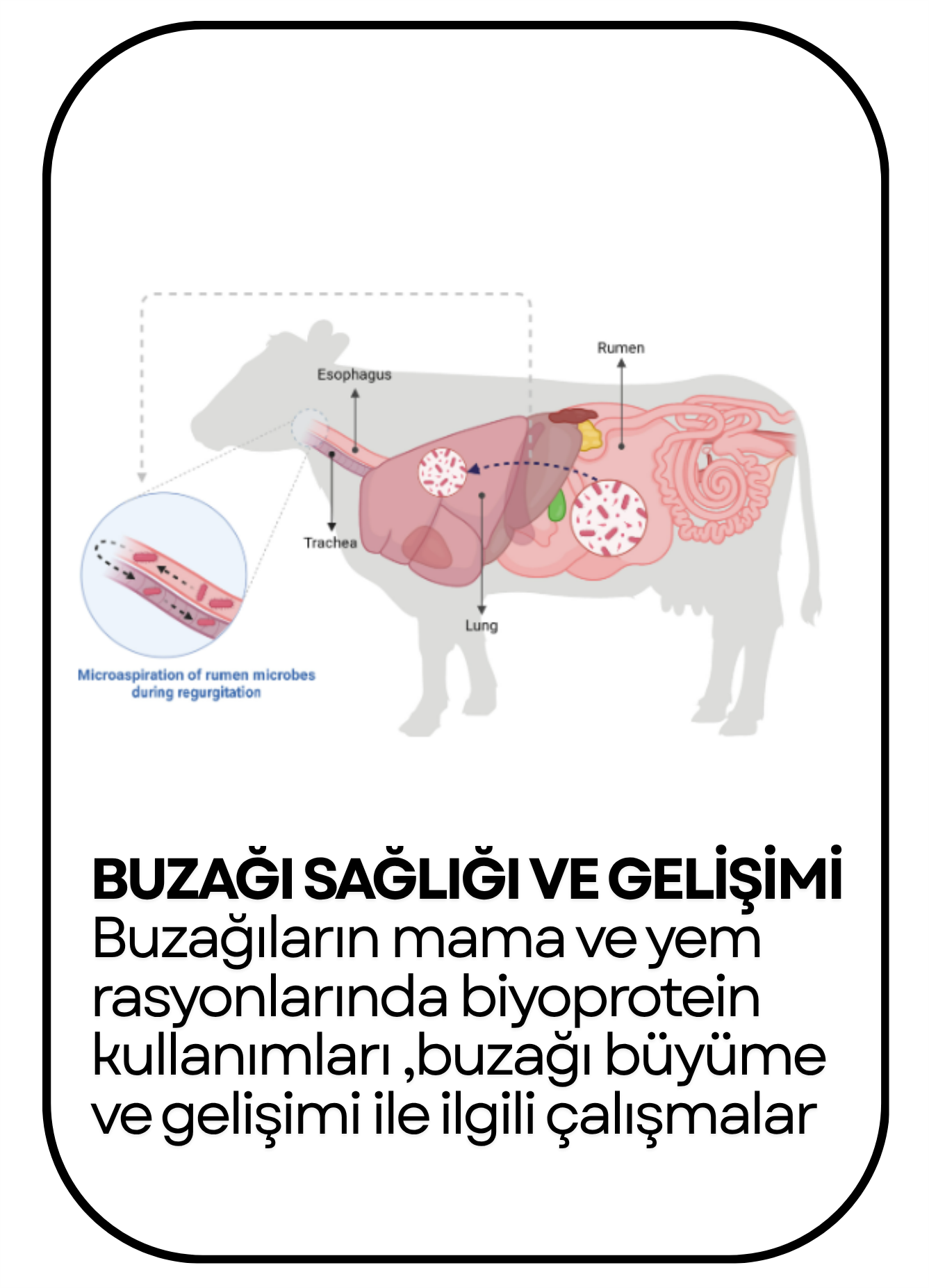 PowerClip Uygulanmış Dikdörtgen (5)