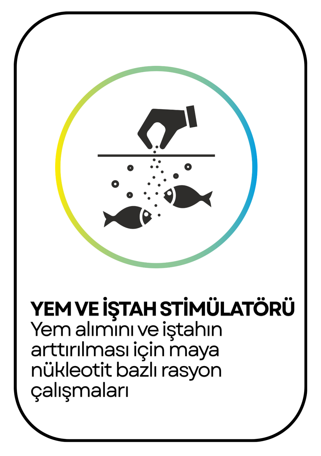 PowerClip Uygulanmış Dikdörtgen (5)