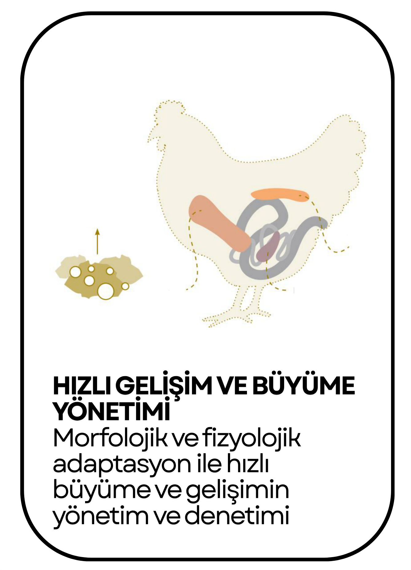 PowerClip Uygulanmış Dikdörtgen (6)