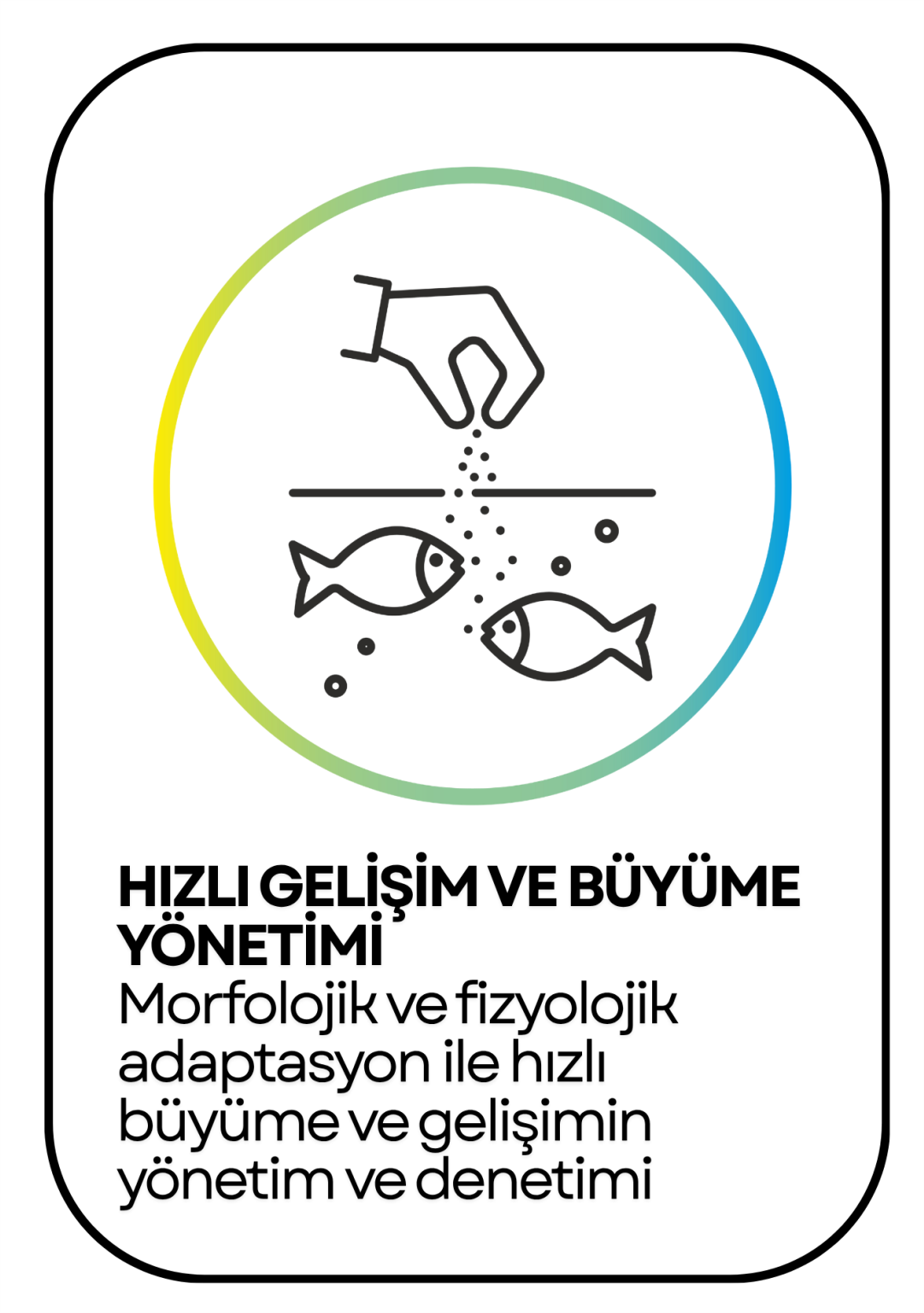 PowerClip Uygulanmış Dikdörtgen (6)