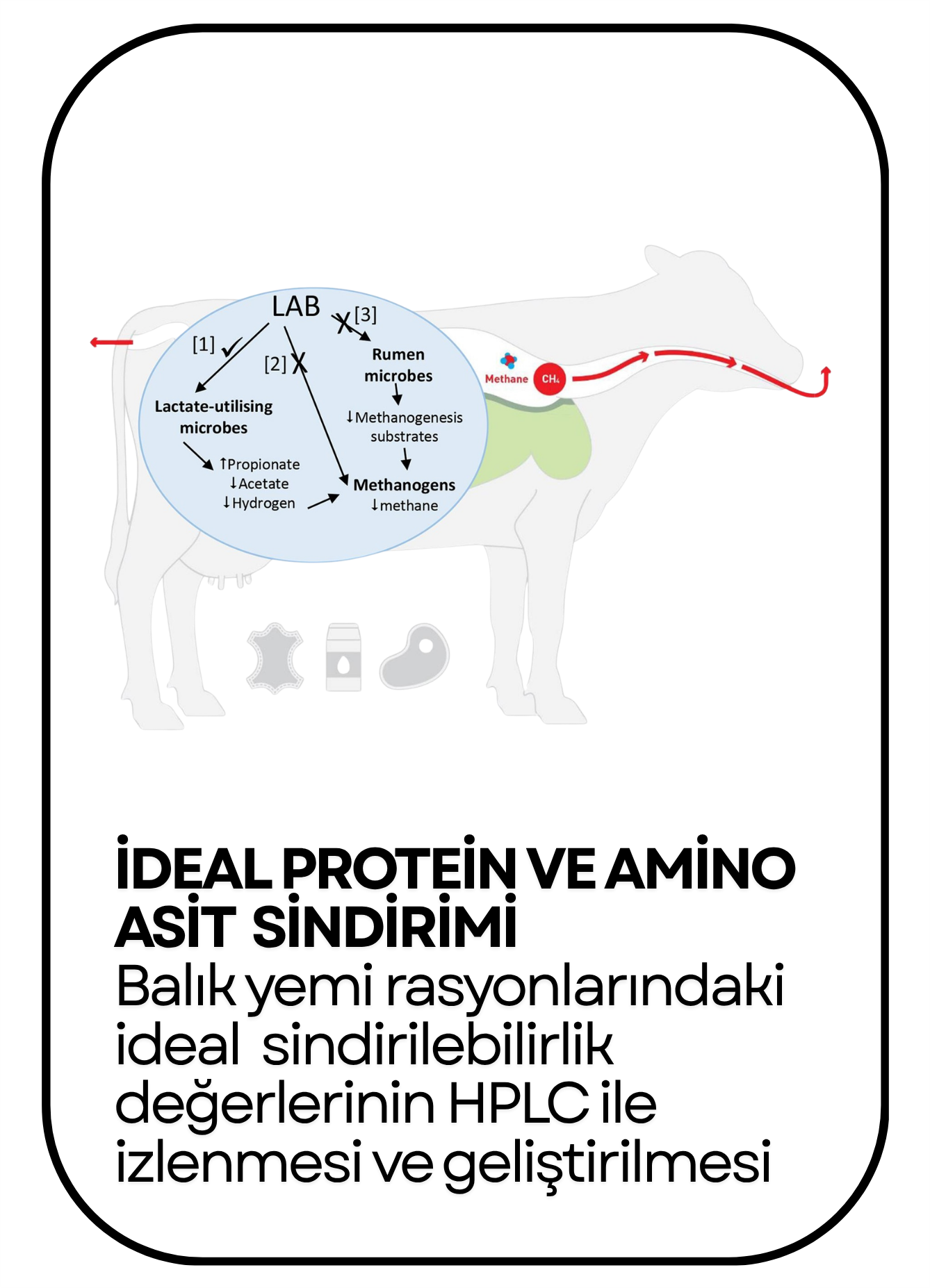 PowerClip Uygulanmış Dikdörtgen (7)