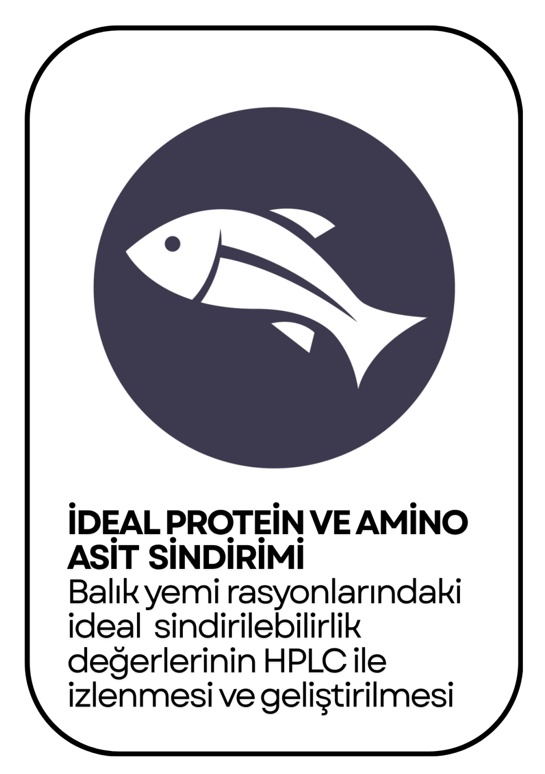 PowerClip Uygulanmış Dikdörtgen (7)