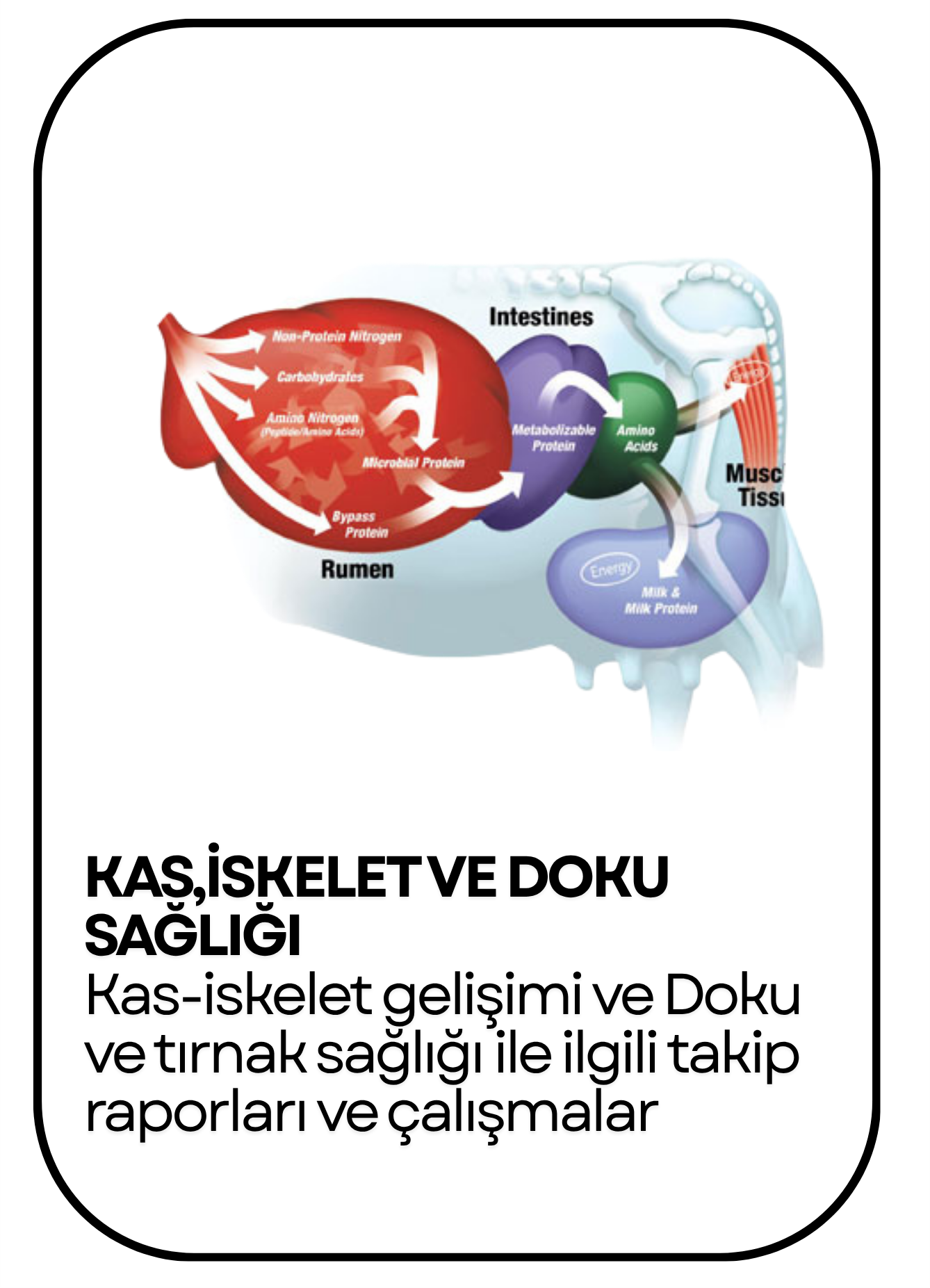 PowerClip Uygulanmış Dikdörtgen (9)