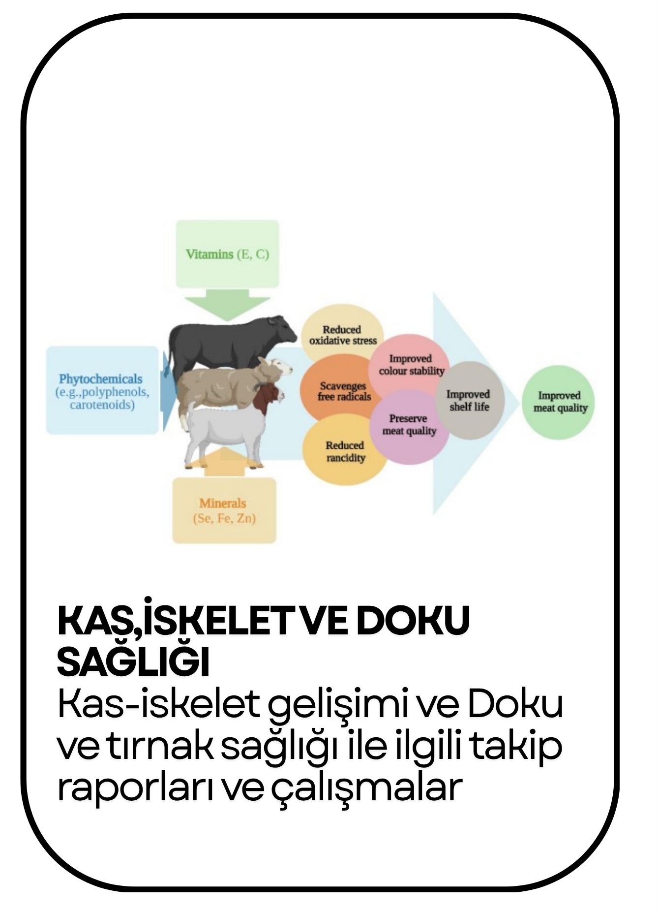 PowerClip Uygulanmış Dikdörtgen