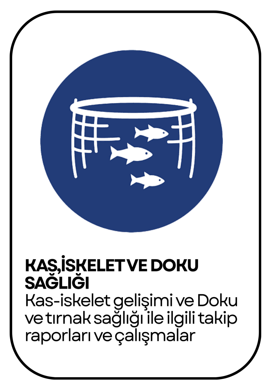 PowerClip Uygulanmış Dikdörtgen
